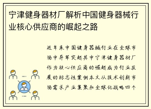 宁津健身器材厂解析中国健身器械行业核心供应商的崛起之路