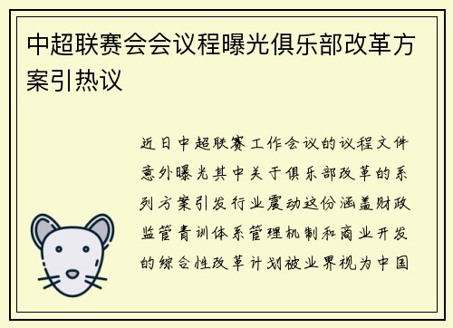 中超联赛会会议程曝光俱乐部改革方案引热议