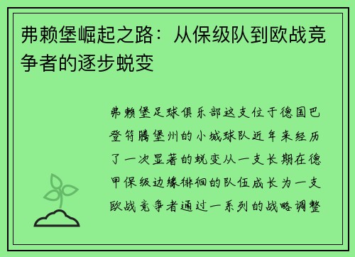 弗赖堡崛起之路：从保级队到欧战竞争者的逐步蜕变
